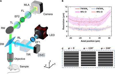 Background inhibited and speed-loss-free volumetric imaging in vivo based on structured-illumination Fourier light field microscopy